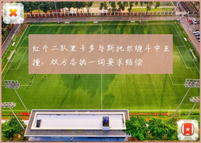 红牛二队里卡多与斯托尔缠斗中互撞,双方各执一词要求赔偿