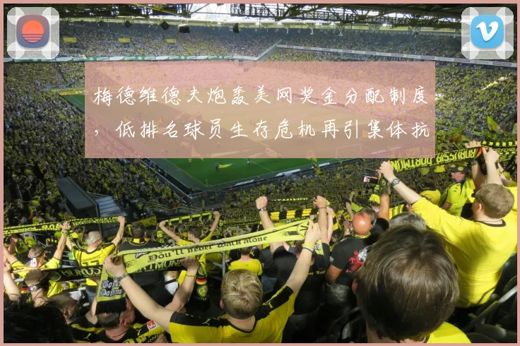 梅德维德夫炮轰美网奖金分配制度，低排名球员生存危机再引集体抗议